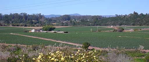 California Finds Arsenic Contamination & Sinking Lands Connected