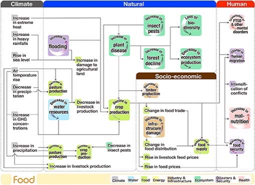 Flow Chart Climate