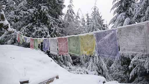 Blog Prayer Flags